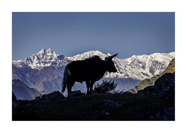 Is Manaslu Trek Suitable for Beginners? The Truth